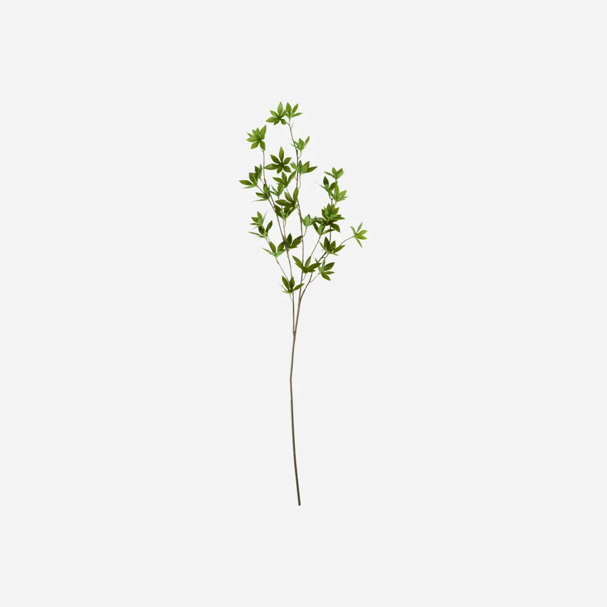Miniaturebillede 1