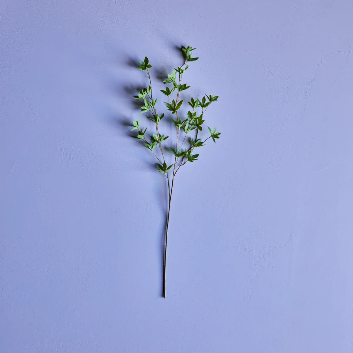 Miniaturebillede 2