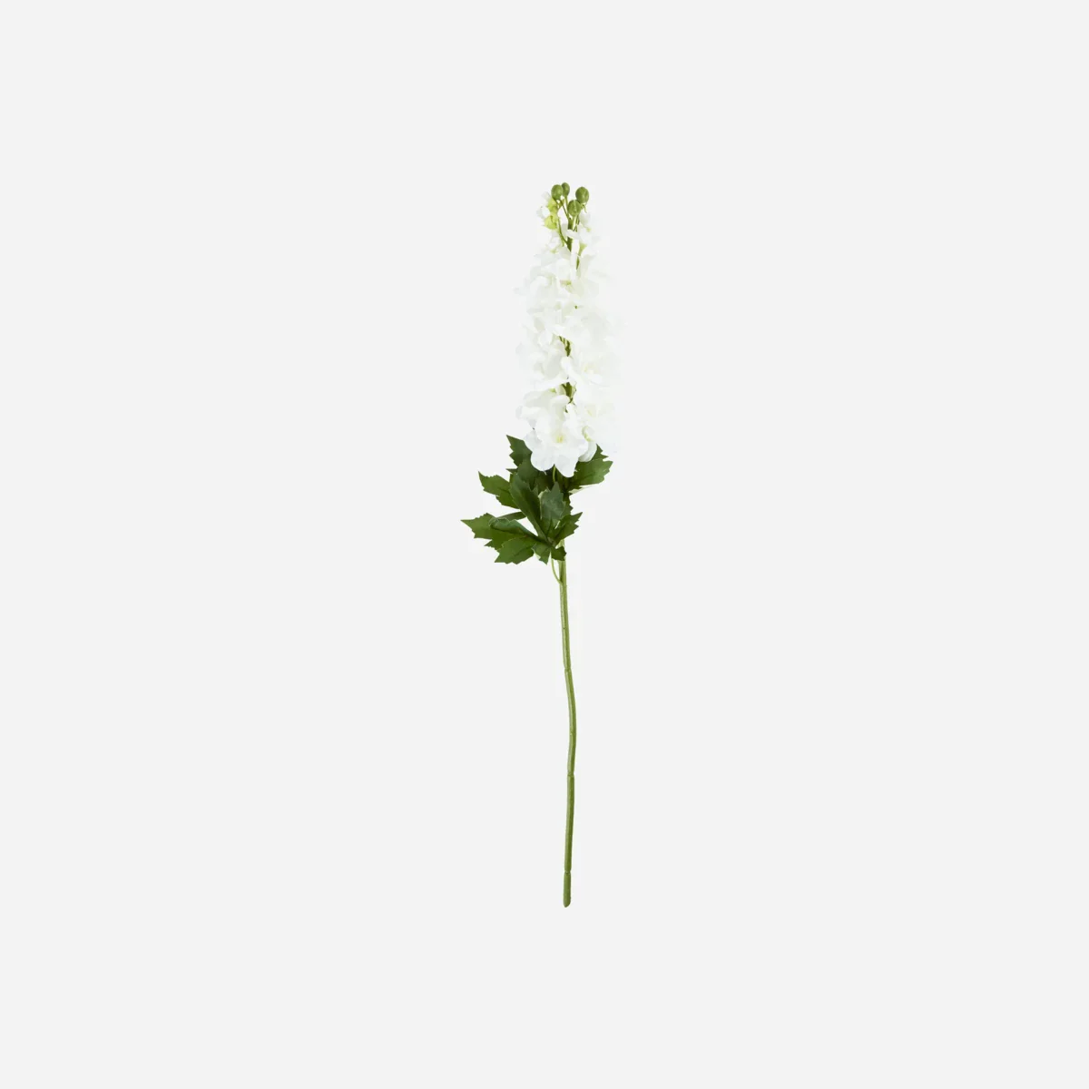 Miniaturebillede 1