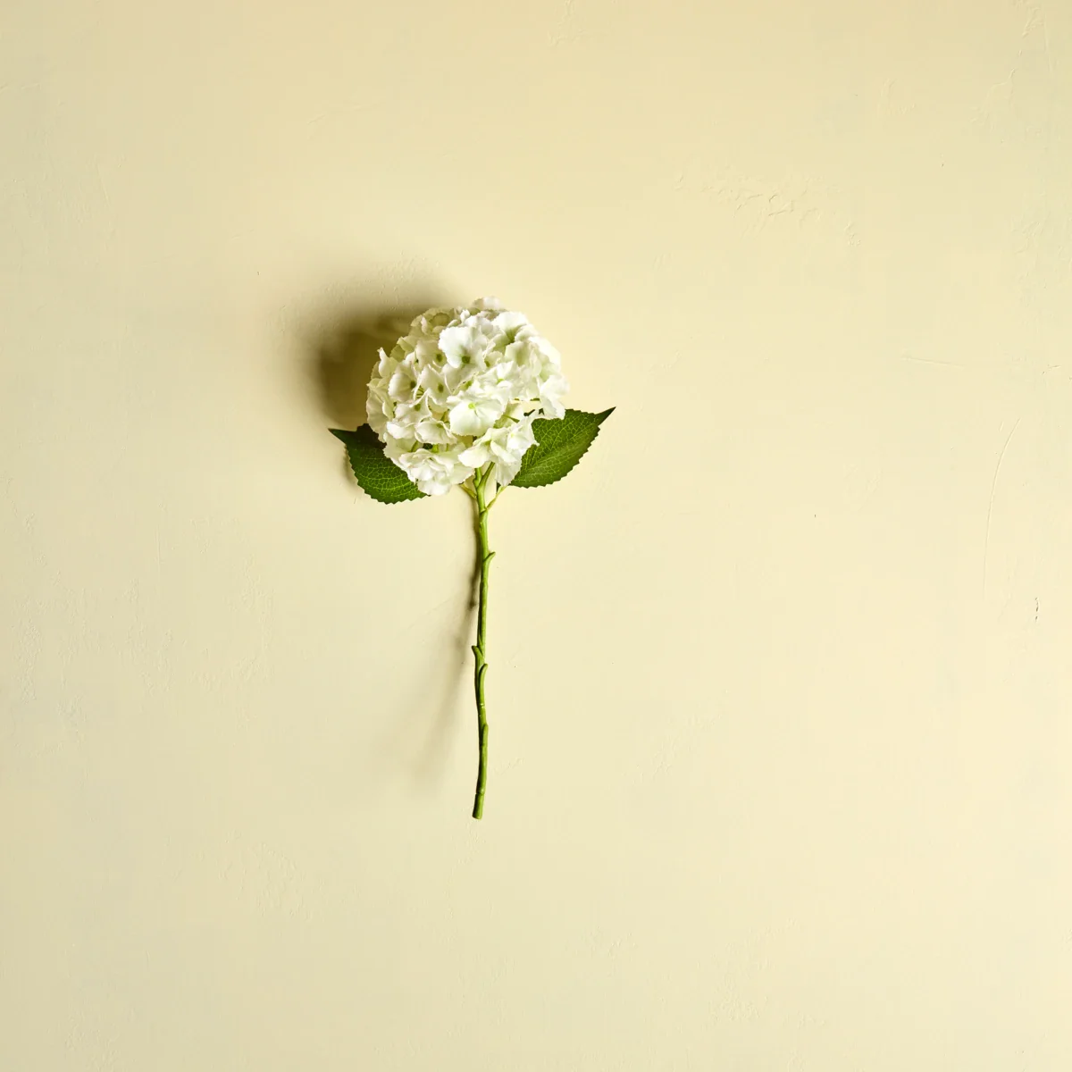 Miniaturebillede 2
