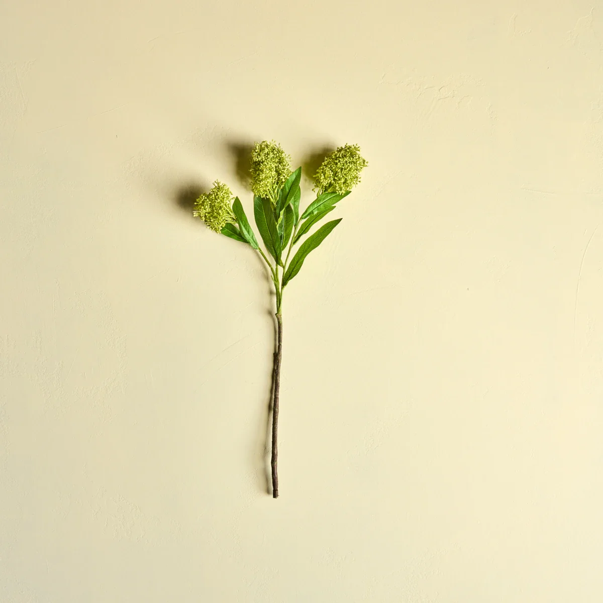 Miniaturebillede 2