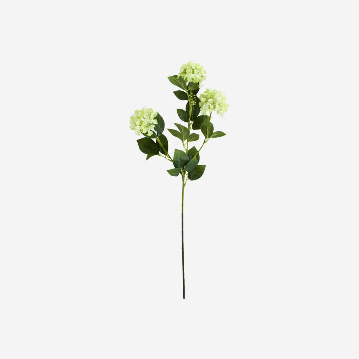 Miniaturebillede 1