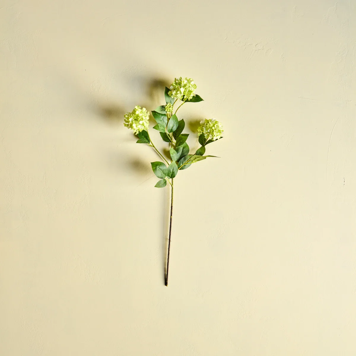 Miniaturebillede 2